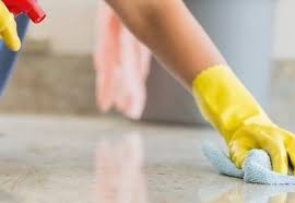 Cleaning Services